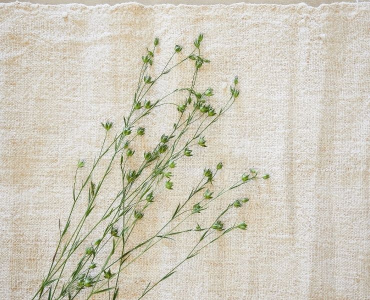 Naturalny materiał bawełniany – przewiewna i przyjazna dla skóry bawełna, istotna w świadomym wyborze składu ubrań.